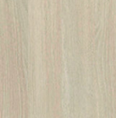 Acacia