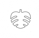 6-pak Monstera mm