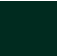 Conifer