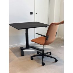 RAW ENKELTSJLET HVE SNKE STEL