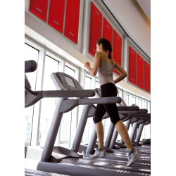 MITESCO V�GSK�RM