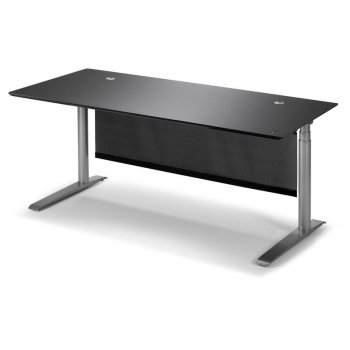 QUADRO HVE SNKE STEL MED LINAK MOTOR