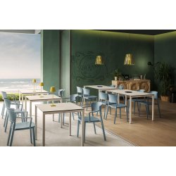 ABUELA STOL MED OG UDEN ARMLN