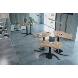 CONSET 501-19, ENKELTSJLE INKL. PLADE / BUET FOD