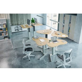 CONSET 501-19 GRUPPE HVE SNKE STEL