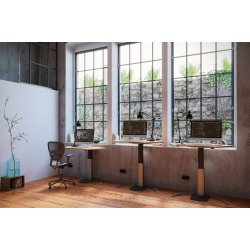 CONSET 501-19, ENKELTSJLE INKL. PLADE / BUET FOD