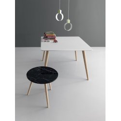 BORDE TIL CAFE'  OG HOTEL DV300	