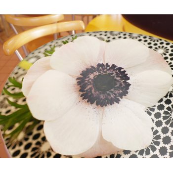 DESIGN OVERFLADE MED PRINT