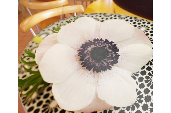 DESIGN OVERFLADE MED PRINT