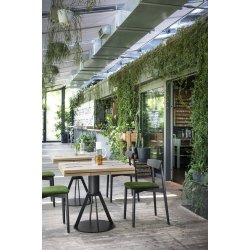 GERONIMO - CAFBORD MED UDTRK