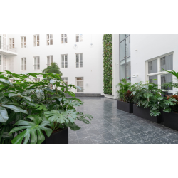 NILE HIGH TIL INDENDRS OG UDENDRS