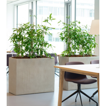 NILE HIGH TIL INDEND�RS OG UDEND�RS