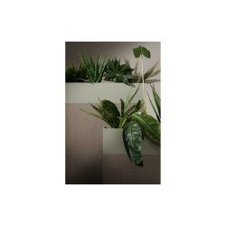 ZORLA GULVSKRM TIL PLANTER