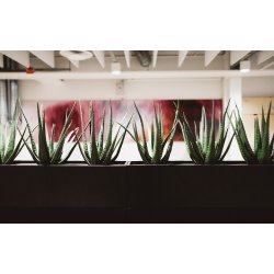 ZORLA GULVSKRM TIL PLANTER