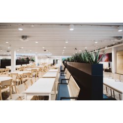 ZORLA GULVSKRM TIL PLANTER