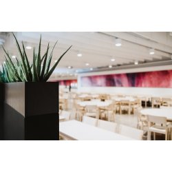 ZORLA GULVSKRM TIL PLANTER