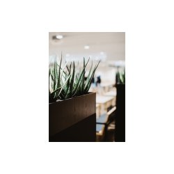 ZORLA GULVSKRM TIL PLANTER