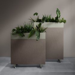 ZORLA GULVSKRM TIL PLANTER