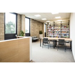 SHILA P / BASE S01 + S01K