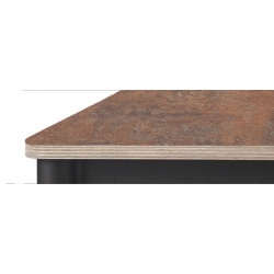 DESIGN OVERFLADE MED BIRKEKRYDSFINR KERNE