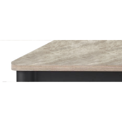 DESIGN OVERFLADE MED BIRKEKRYDSFINR KERNE