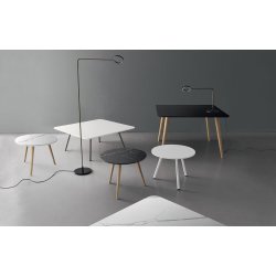 BORDE TIL CAFE'  OG HOTEL DV300	