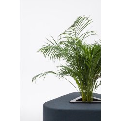 HANA - LYDABSORBERENDE KABINE