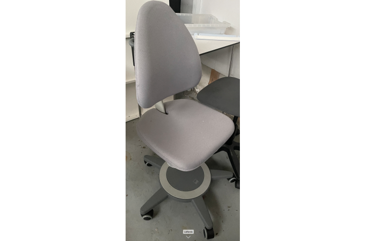 MAXIMO ELEVSTOL - GR� nu kun kr. 300.- 