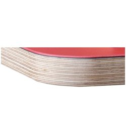 LUKSUS KVALITET LINOLEUM 2024 - 25 MED BIRKEKRYDSFINR KERNE