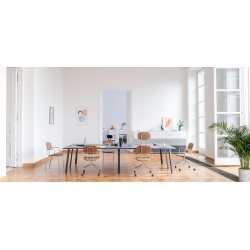 NEW SCHOOL STOL, LAV RYG