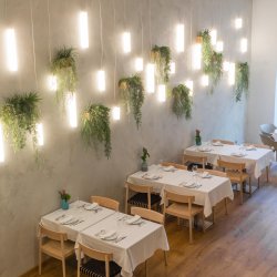 SMART STOL - FLERE MODELLER - FLERE FARVER