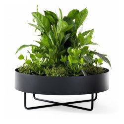 SHIMA GARDEN PLANTEKASSER