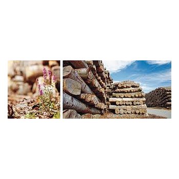 KO PLADER - MILJ Bordplader